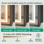 Medicine Cabinet with Lights Surface/Recessed Mount Dimmable 3 Color Lighted with light Anti fog Outlet Aluminum